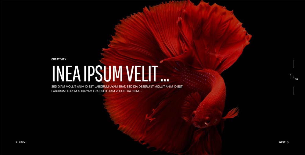 Módulo Joomla Creative Slider