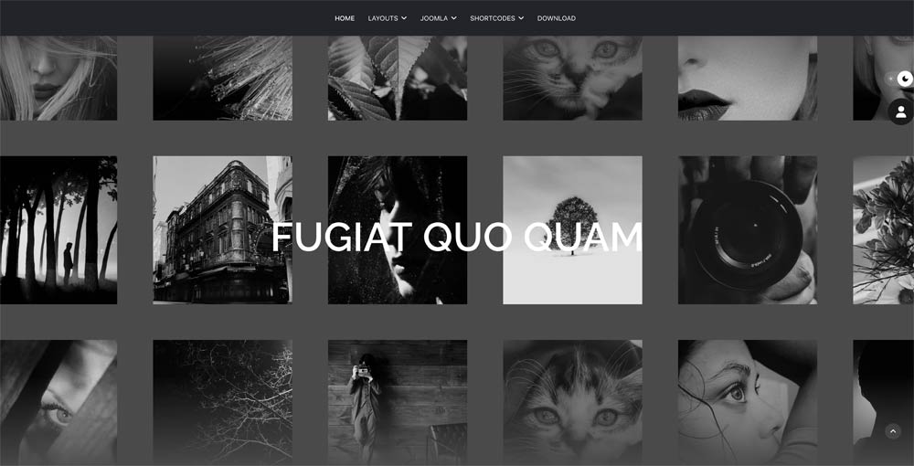 Gallery_elements_module 