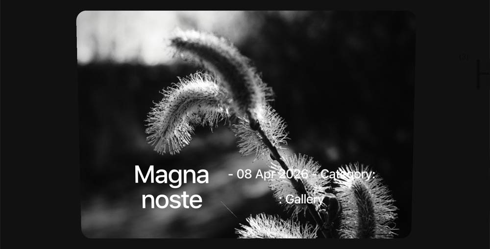 Showcase_elements_module 