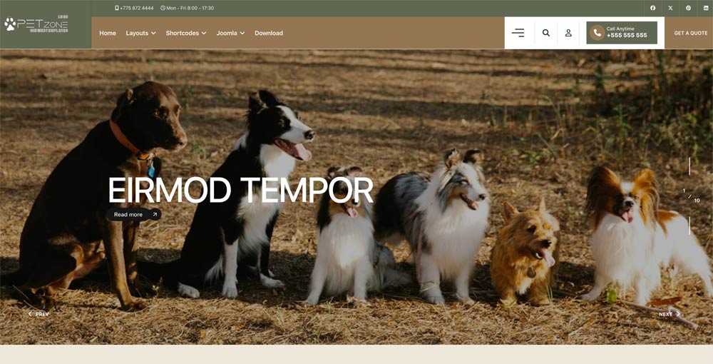 Pet Care Services Joomla Template