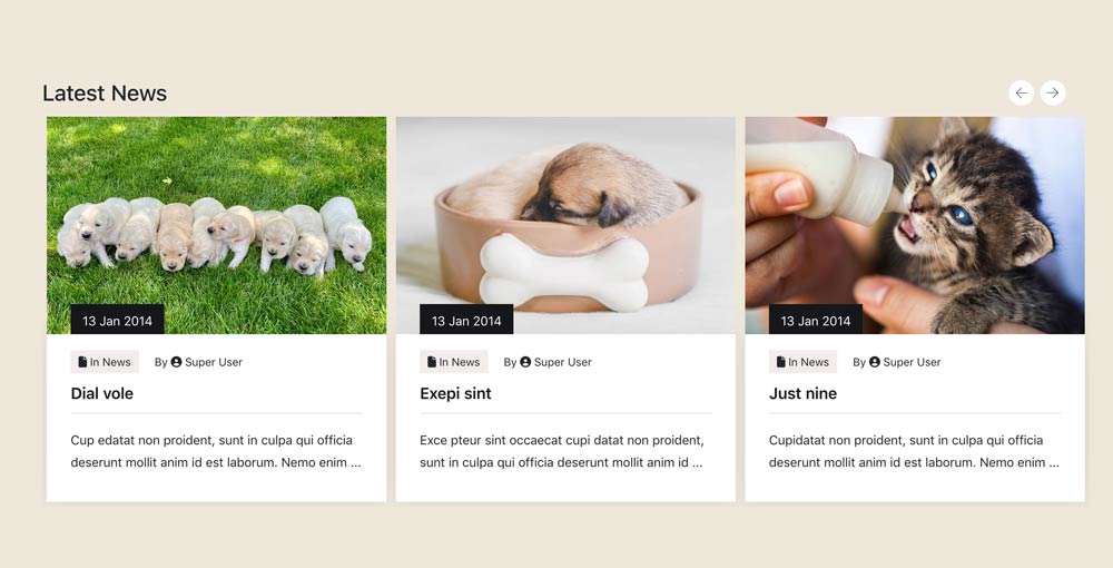 News_site_tools_module 