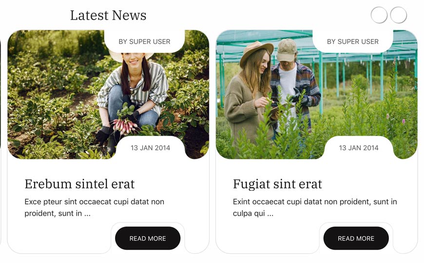 News Site Tools Module