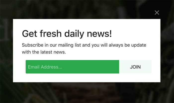 Newsletter Module
