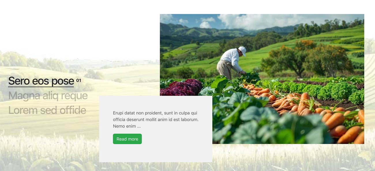 Showcase Site Tools Module